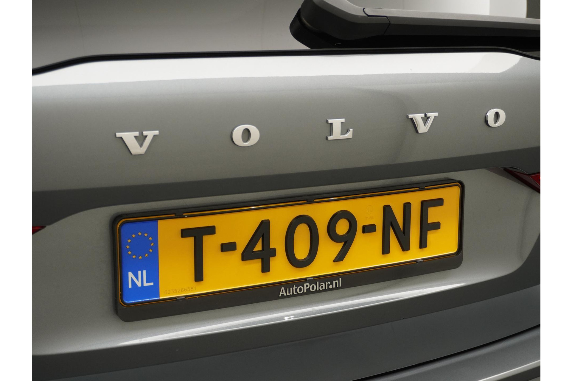 43554693-7.jpg